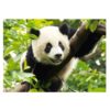 Trefl prémium kategóriájú 500 darabos puzzle – Panda