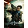 Harry Potter 100 db-os XXL puzzle – Ravensburger