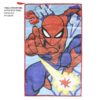 Spiderman tisztasági csomag – Action