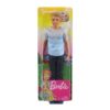 Barbie Dreamhouse Adventures Ken baba