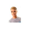 Barbie Dreamhouse Adventures Ken baba