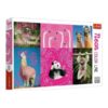 Trefl Neon Color Line 1000 darabos puzzle – Bolondos állatok