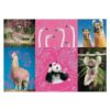Trefl Neon Color Line 1000 darabos puzzle – Bolondos állatok
