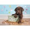 Lovely Puppy puzzle 180 db-os – Édes kutyakölyök – Clementoni