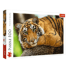 Trefl Premium Quality 500 db-os puzzle – Tigris portré