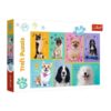Trefl Kutyás puzzle 100 darabos – A kutyák világa