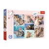 Trefl cicás puzzle 100 db-os – A macskák világa