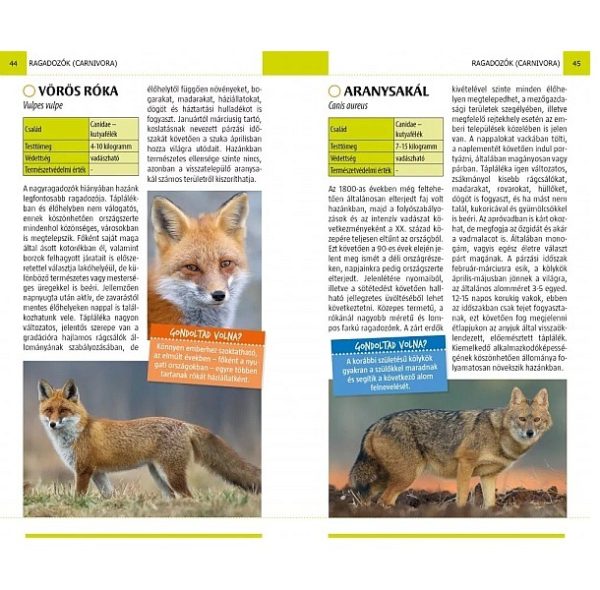Természetbarátok zsebkönyve – Emlősök