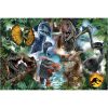 Trefl dinoszauruszos puzzle 300 db-os – Jurassic World