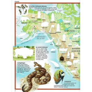 Képes atlasz matricákkal – Állatok a világban