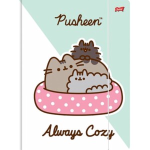 Pusheen cicás gumis mappa A4-es – kétféle