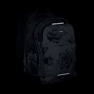 Topgal ergonomikus iskolatáska hátizsák RONY – Black Rose