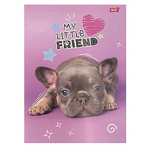My Little Friend A4-es kockás füzet 32 lapos – kétféle